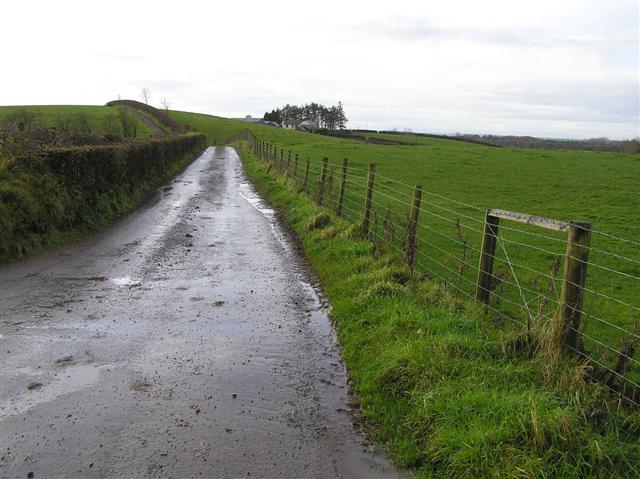 Lane at Moylagh