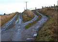 ND4689 : Track junction near Stews by Ian Balcombe