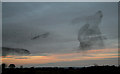 A starling display near Gretna