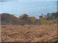 Shoreline on Loch Slapin