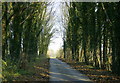 2008 : Middlewick Lane near Upper  Pickwick