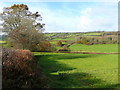 West Wales pasture land 1