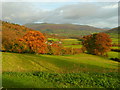 View east from Bwlch 2