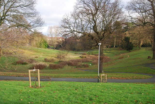 Boggy hollow, Grosvenor Recreation Ground