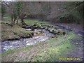 SJ2850 : Bend in the River Clywedog by AntJB