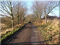 Driveway looking away from Whatfield Hall