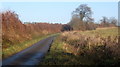 Whatfield Road, towards Naughton