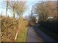 Looking along Wallow Lane