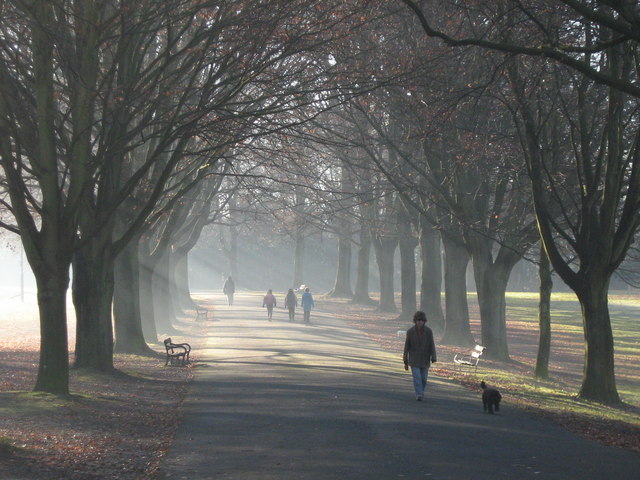 The Promenade in winter
