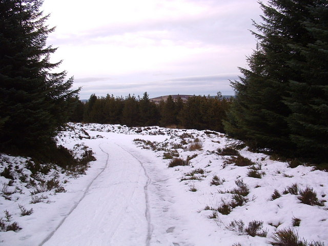 The track from Glacks of Balloch