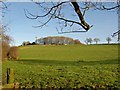 Telecoms mast at Grange Farm