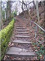 Footpath up to Middlewood Road, near Middlewood Tavern, Oughtibridge