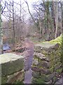 Footpath by the River Don, near Middlewood Tavern, Oughtibridge