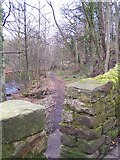 SK3192 : Footpath by the River Don, near Middlewood Tavern, Oughtibridge by Terry Robinson