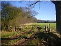 Path to Brockbury Hall