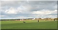 The hamlet of Dothan from Cerrig Cafael Farm