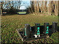 Scrummaging Platform Leicester Lions Ground