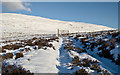 NO2196 : A gate on the track to Carn Moine an Tighearn by Nigel Corby