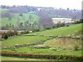 Pony paddocks above Harecramp Cottages