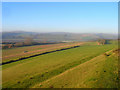 Footpath to Old Erringham