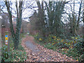 Cycle route through the woods (no horses)