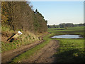 Farm track beside a small wood