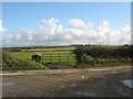 Gate into fields from the Dothan-Aberffraw road