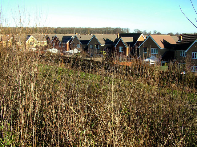 Houses on the edge of the Brook Farm estate