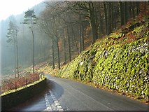 NY3018 : Road beside Thirlmere with mossy embankment by Andrew Smith