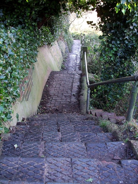Steps to Water Meadows