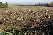 TL5982 : Fenland at Prickwillow by Stephen McKay