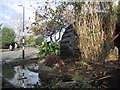 The waterwheel from the old Withycombe mill installed outside Manor Gardens