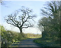 2008 : Lane to Chequers Farm, near Biddestone