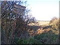 Nature Conservation Area near Little Murston