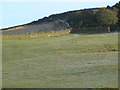 Drystane dyke junction on Barr Hill