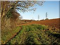 Staverton Footpath 11