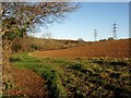 Field north of Abham