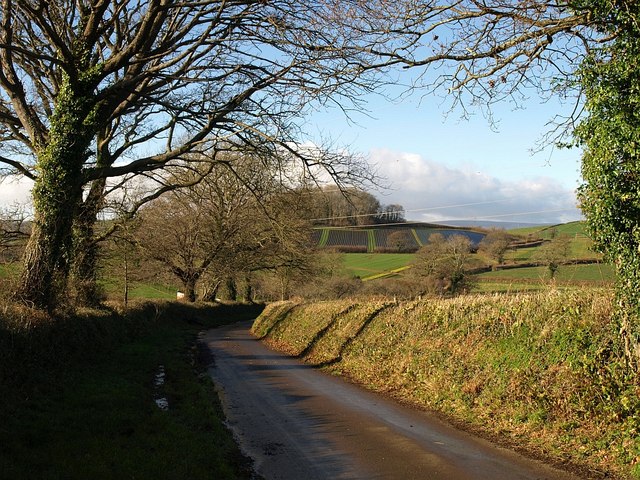 Lane near Barkingdon Manor (2)