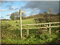 A local footpath