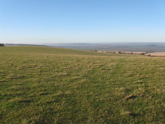 Chalk grassland © M J Richardson cc-by-sa/2.0 :: Geograph Britain and ...