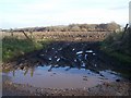 Muddy End to Footpath