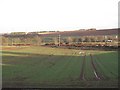 Arable land, West Morriston