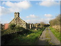 The ruins of the Ffrwd-y-grug homestead