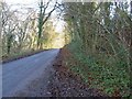 ST8089 : Woodland lane near the A46 by Steve  Fareham