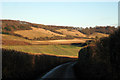 Lane near Crundale