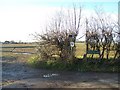 Footpath on Hermitage Lane