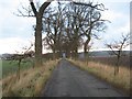 Track from minor road to level crossing at Kingston farm