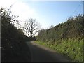 Road bend near Ty Newydd