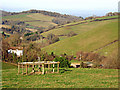 Quiet valley in the Quantocks