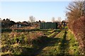 Containers in the Allotments